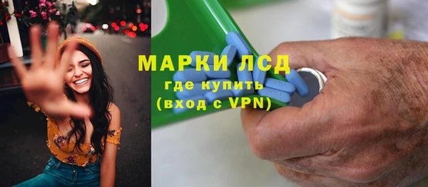 стафф Ельня