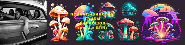 дурь Заводоуковск