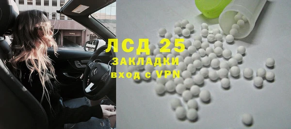 стафф Ельня