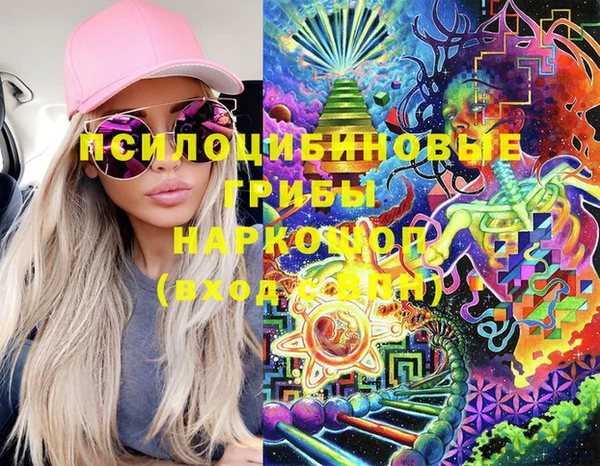 стафф Ельня