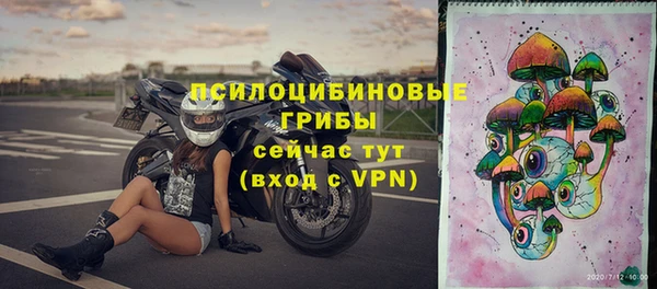 сатива Заволжск