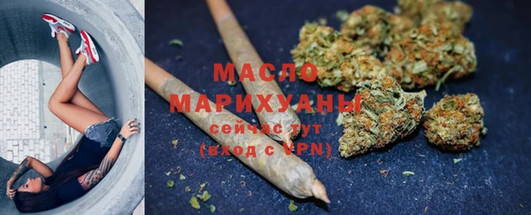 стафф Ельня