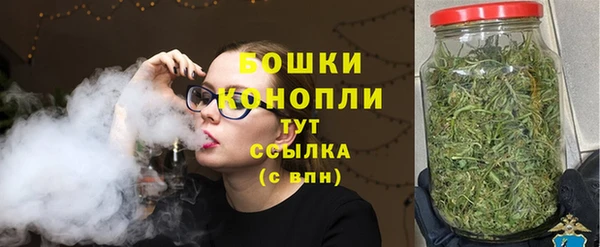 стафф Ельня