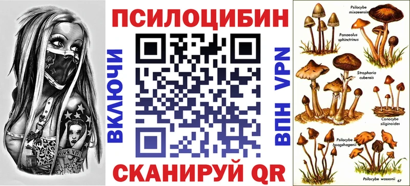 наркошоп  Зея  Псилоцибиновые грибы ЛСД 